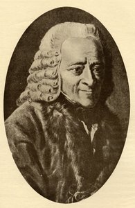 Voltaire da French School